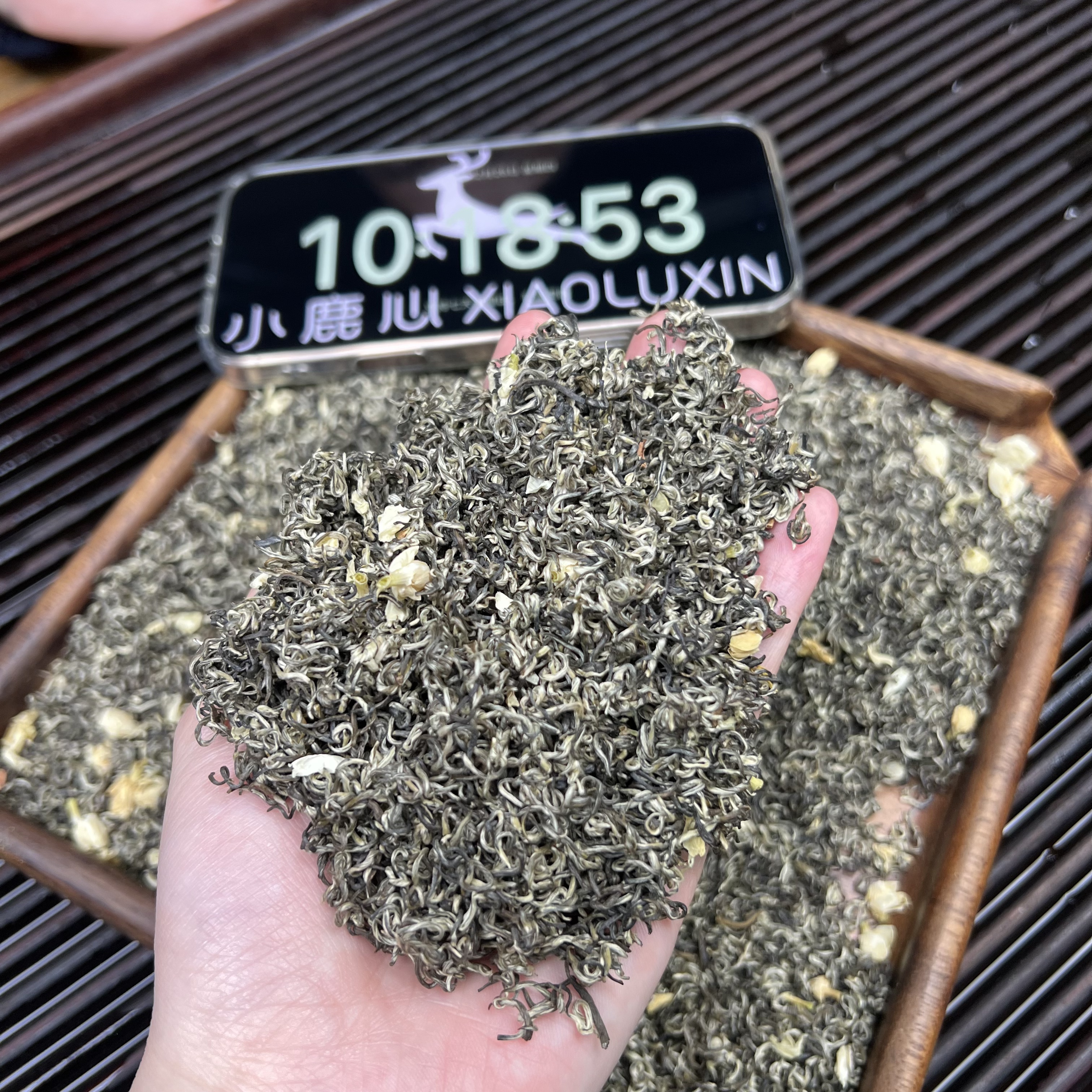 ①茉莉飘雪  小鹿收茶茉莉绿茶 横县茉莉花 12月25