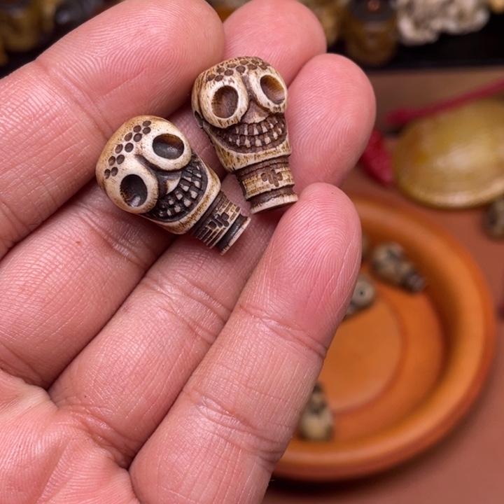 驼骨其他人工养殖