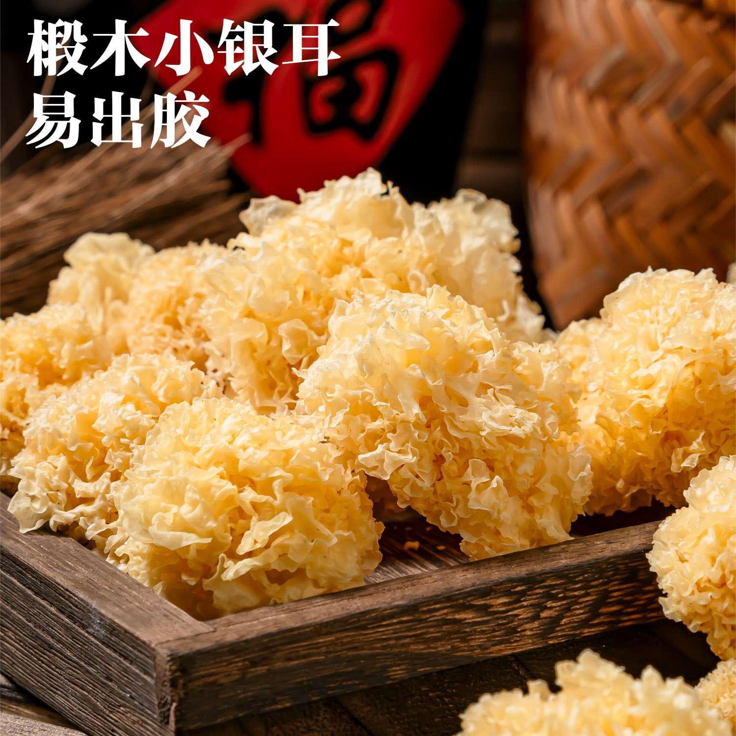 古田椴木小银耳雪梨古田银耳干货口感软糯香甜出胶快适合炖甜品