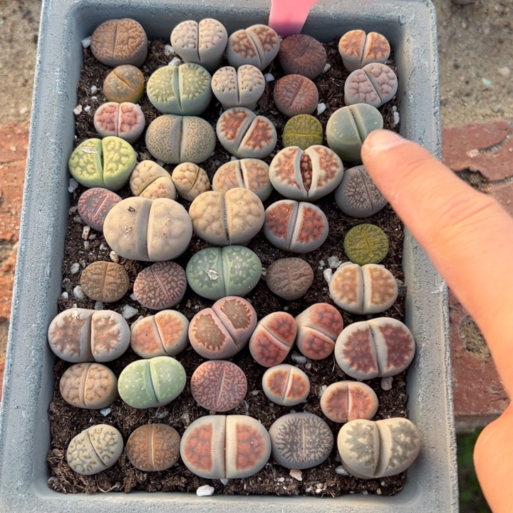 _***@生石村位于县城东南约771