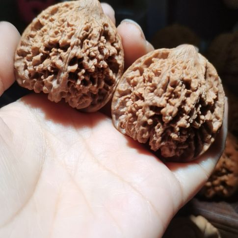 猴头核桃吊坠43满天星