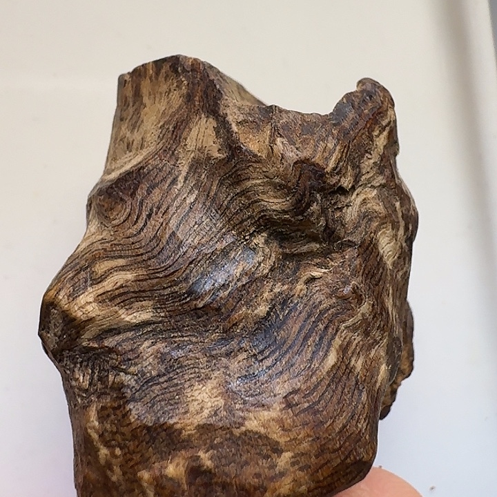 静水达拉干沉水5.7克！！！！