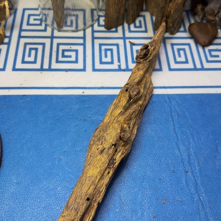 木绿奇陆河虫漏89克
