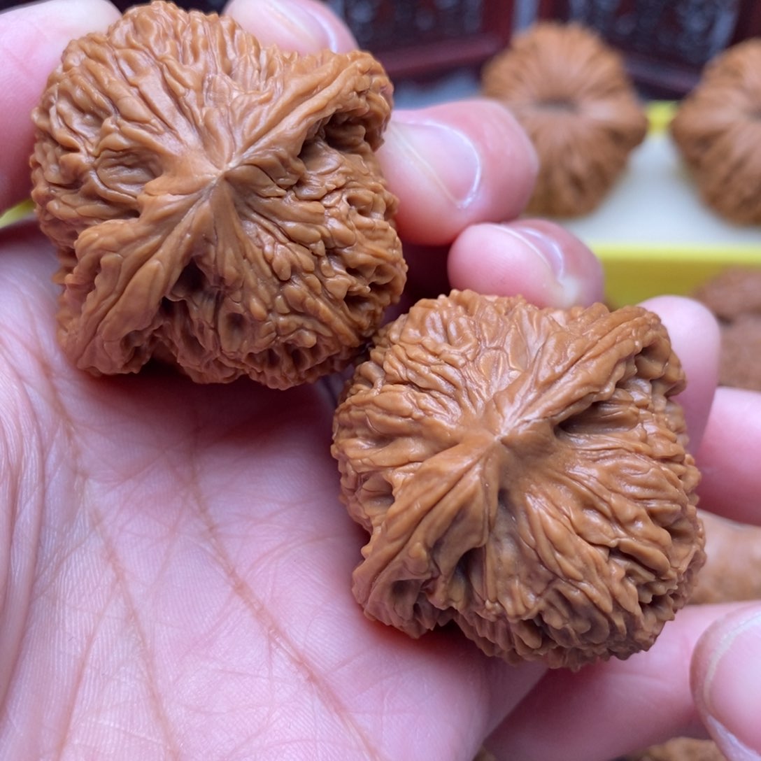 文玩核桃把件全品毕业粗棱南疆红皮老树41+尺