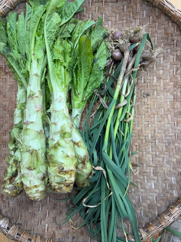 四斤左右莴苣送半斤细蒜苗
