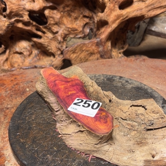 大果紫檀（缅甸花梨）