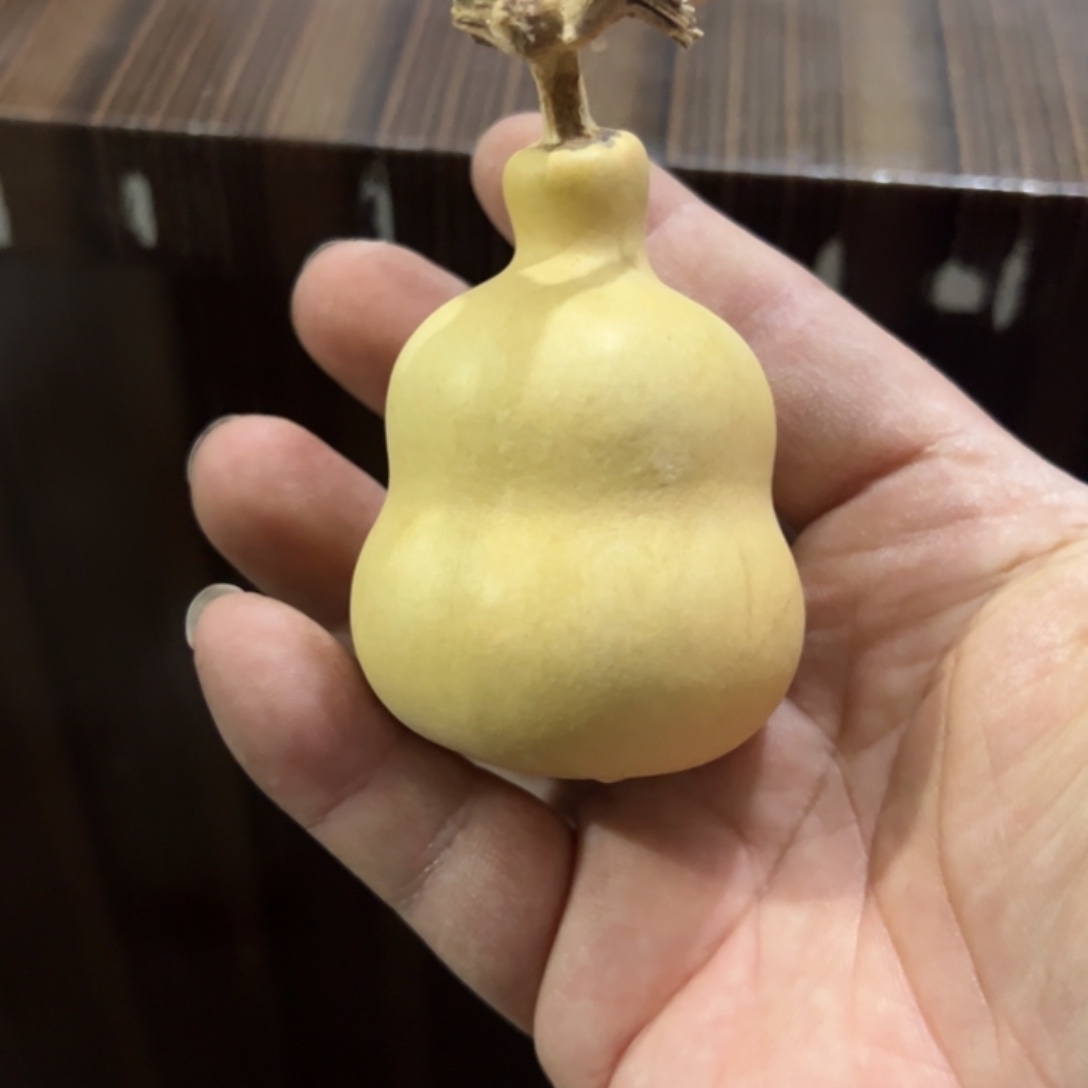 烟***夜大叶紫檀（黑酸枝木类）