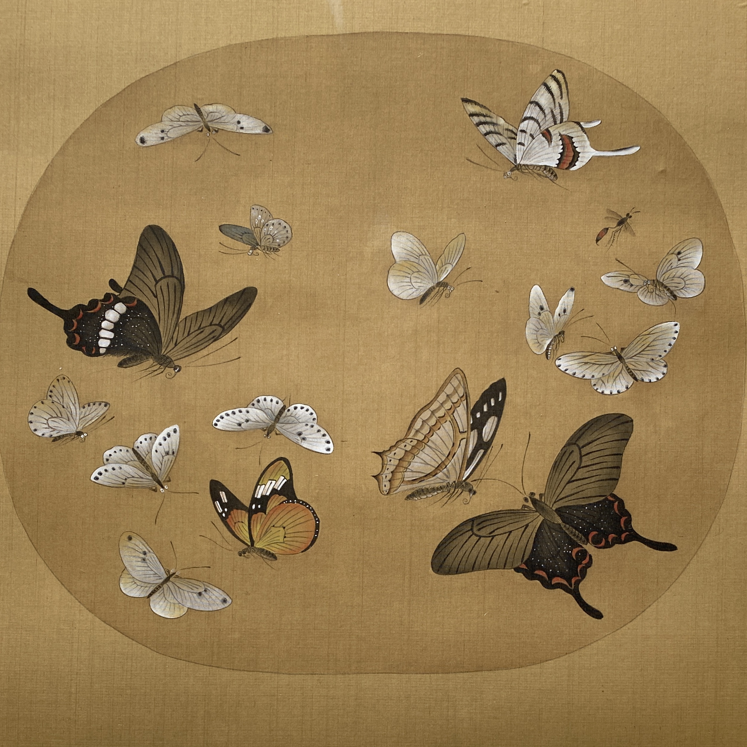 临宋画晴春蝶戏图工笔画教学送黑白稿加彩图加一张同大熟宣