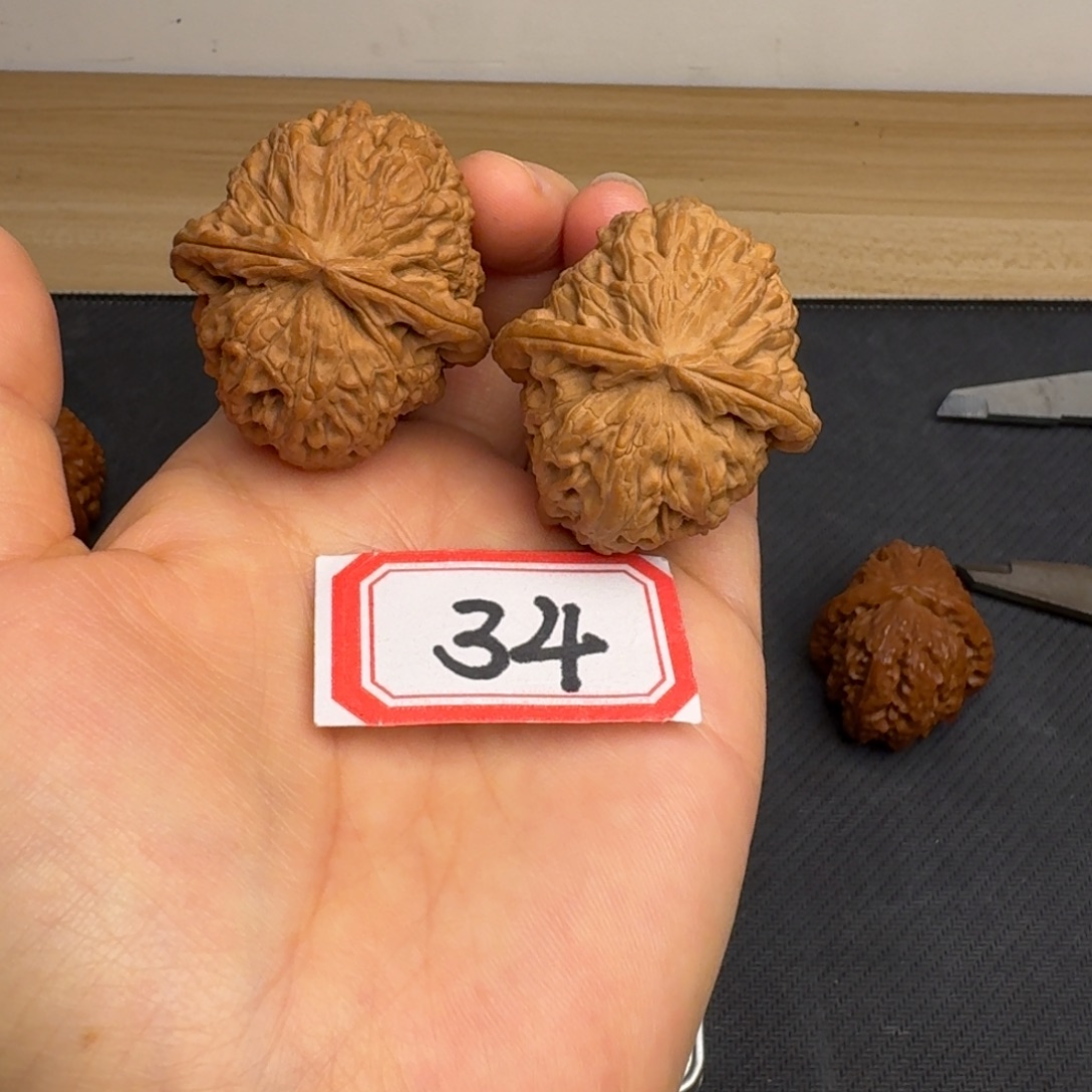 把件文玩核桃全品39尺白狮子