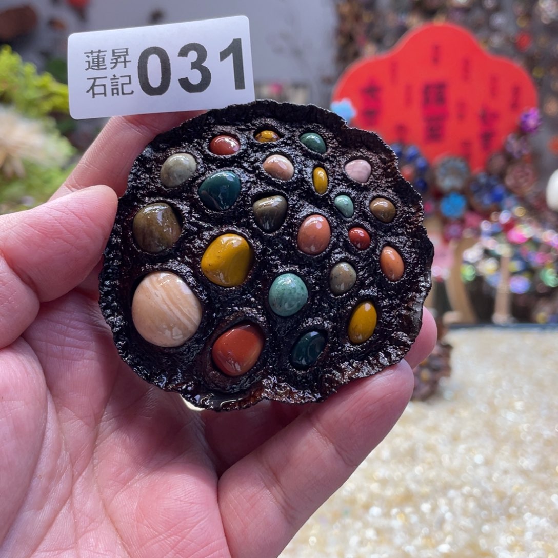 核桃木/黑胡桃（胡桃木）031