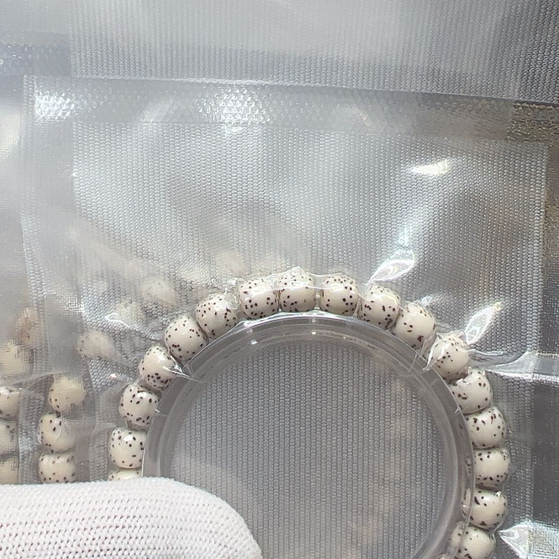 吊坠星月菩提开播福利河豚
