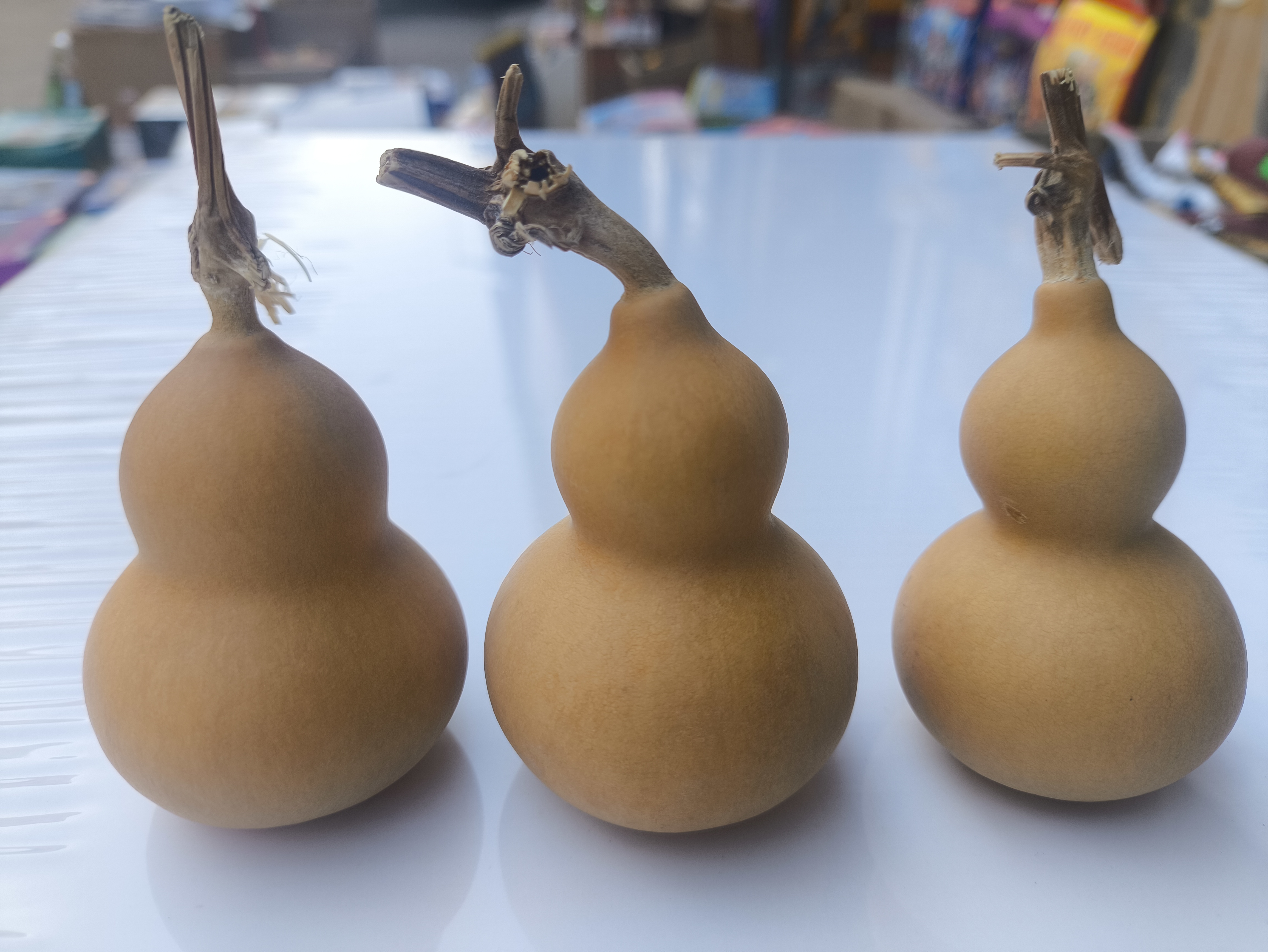 【直播间链接】小葫芦一物一拍，下单请与主播沟通