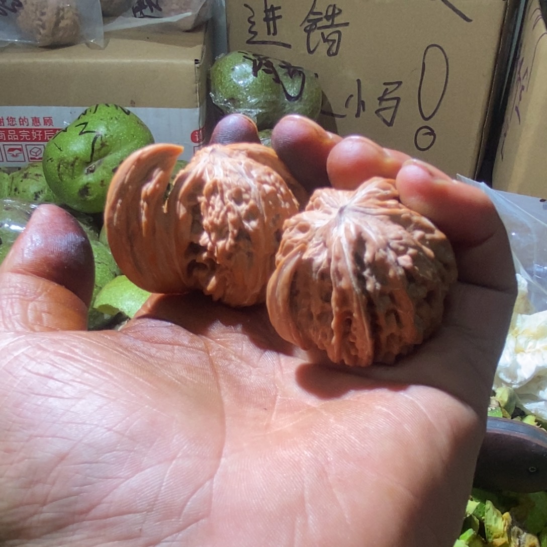 手拉手字母小犀牛
