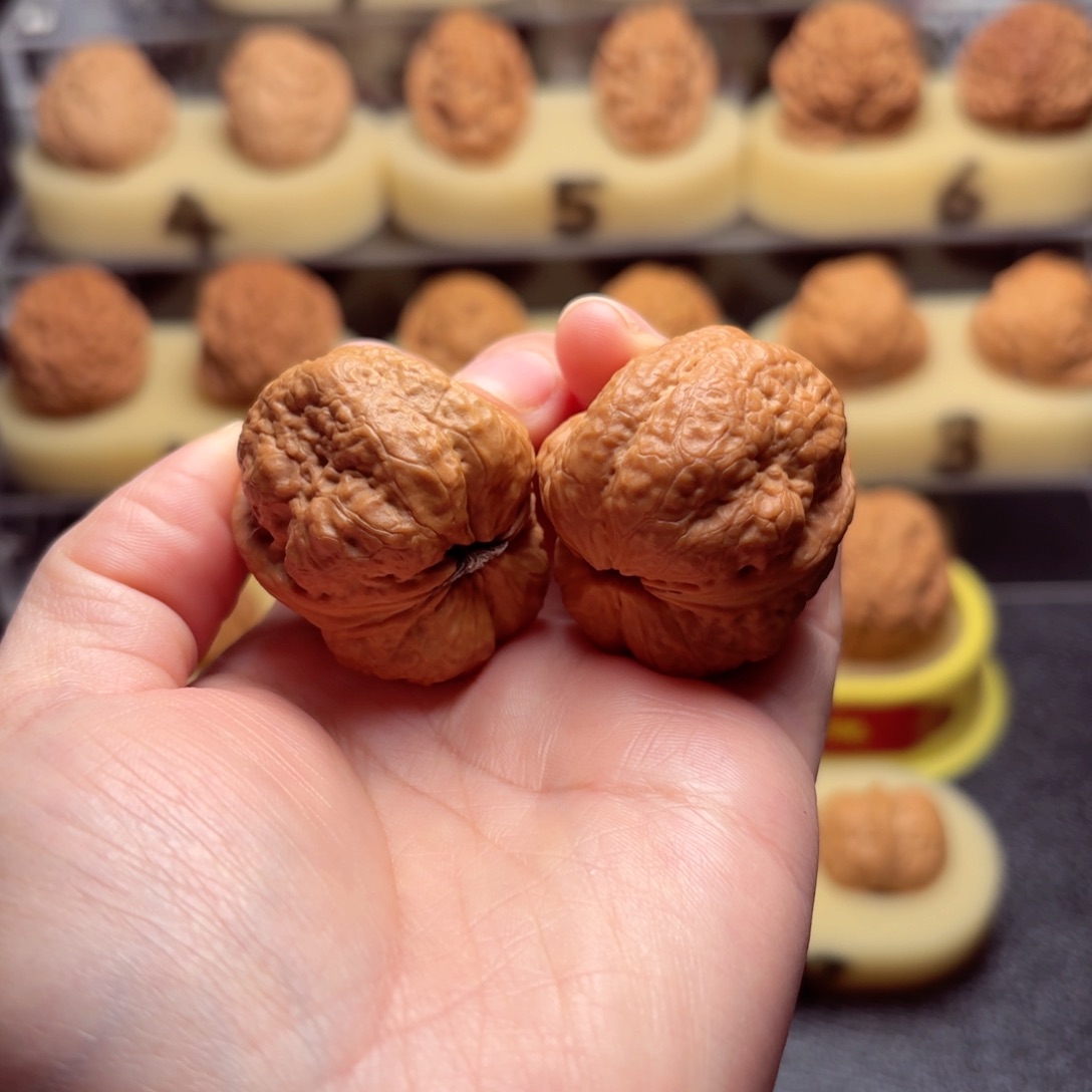 文玩核桃把件25号车