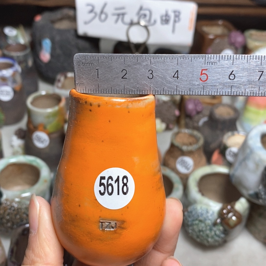 拍5送一个小礼物