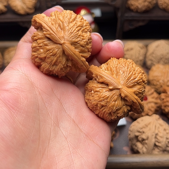 核桃45白狮子福利对