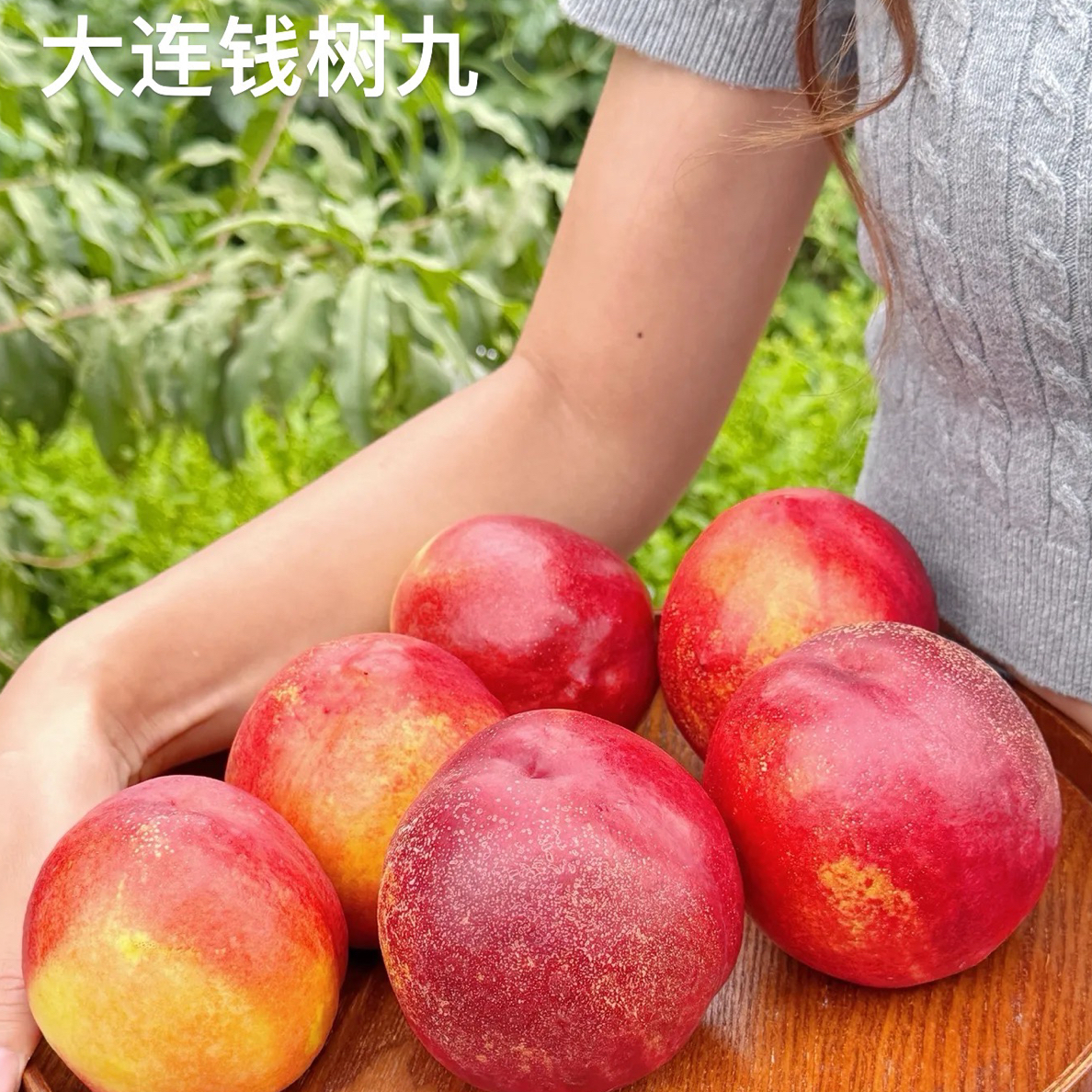 【莲城甄选】助农大连钱数九离核丑油桃5斤(老百姓家果园现摘现发)