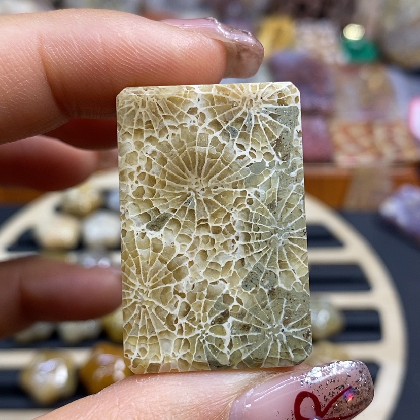 【闪购商品】硅化珊瑚（珊瑚玉）颈饰未镶嵌K5