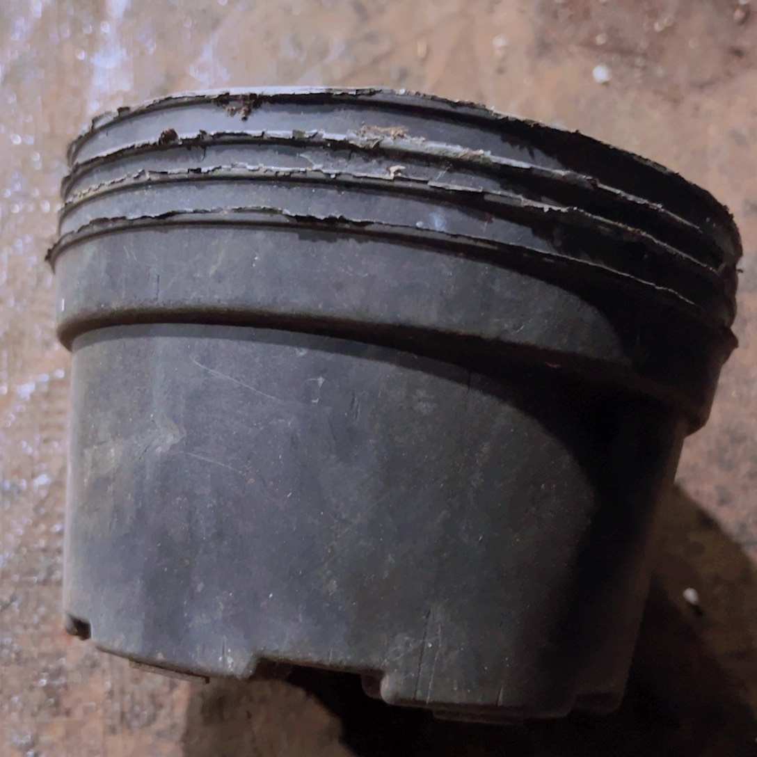 塑料矮胖盆17口径 8.5高 20个 