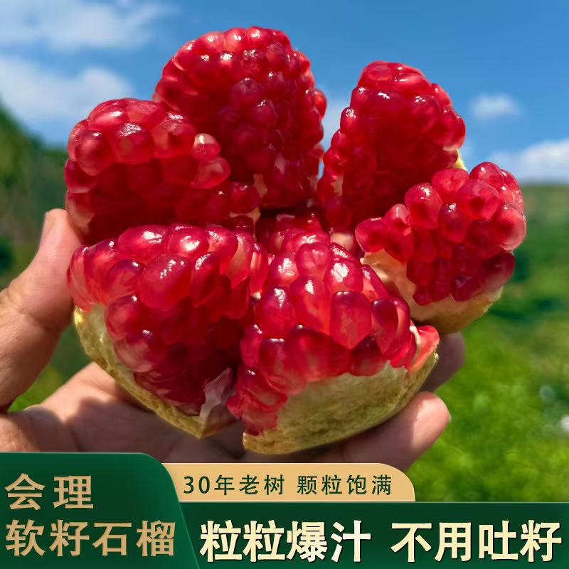 正宗会理突尼斯软籽石榴5/9斤爆甜多汁应季水果会理/昆明两仓发ZL