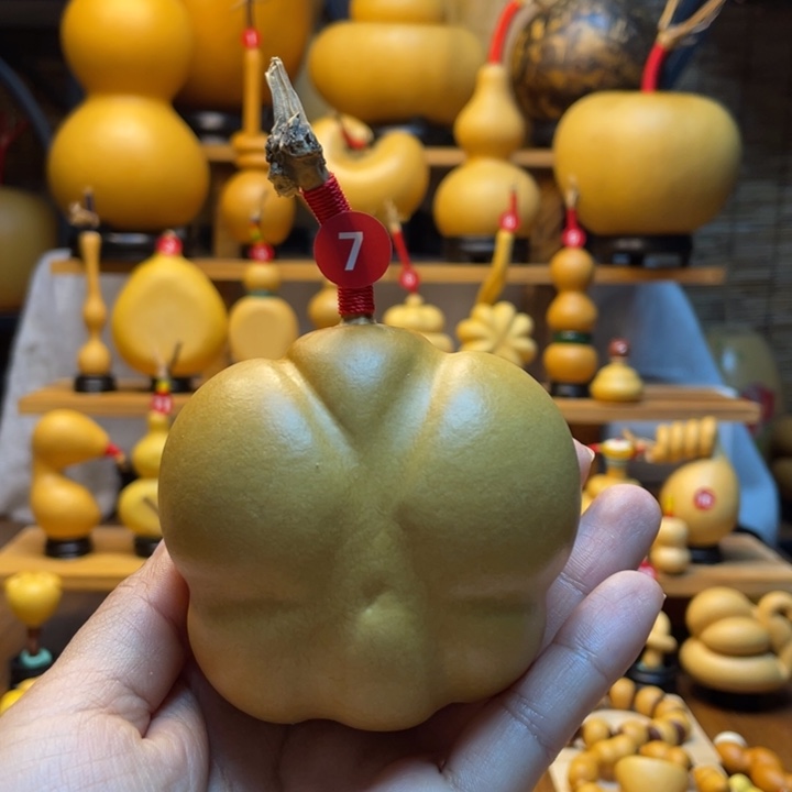 ᵗ****天然葫芦自然生长