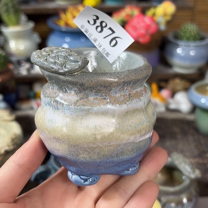 下播福利……未满30运费到付