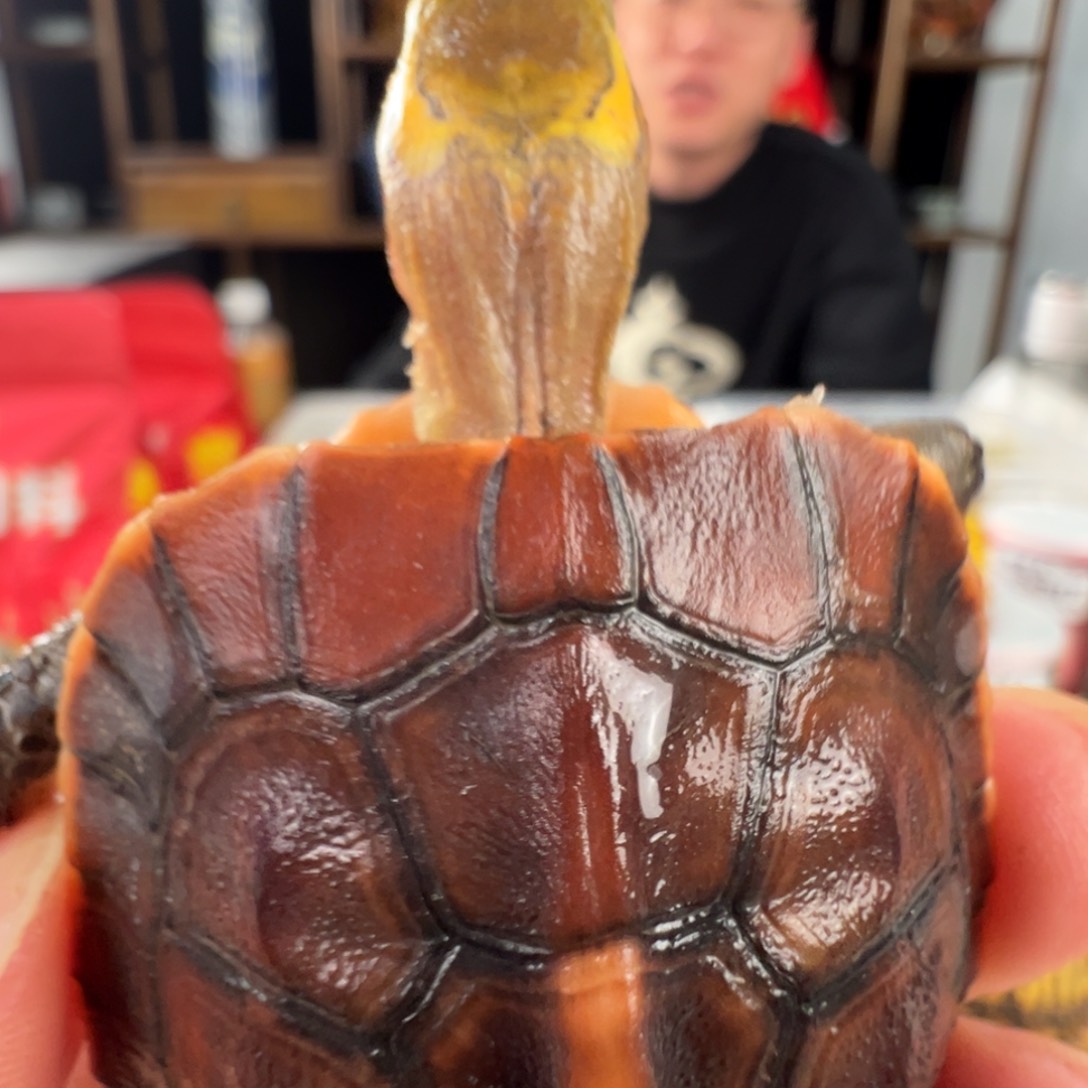 母长**O安了吧你牛掰