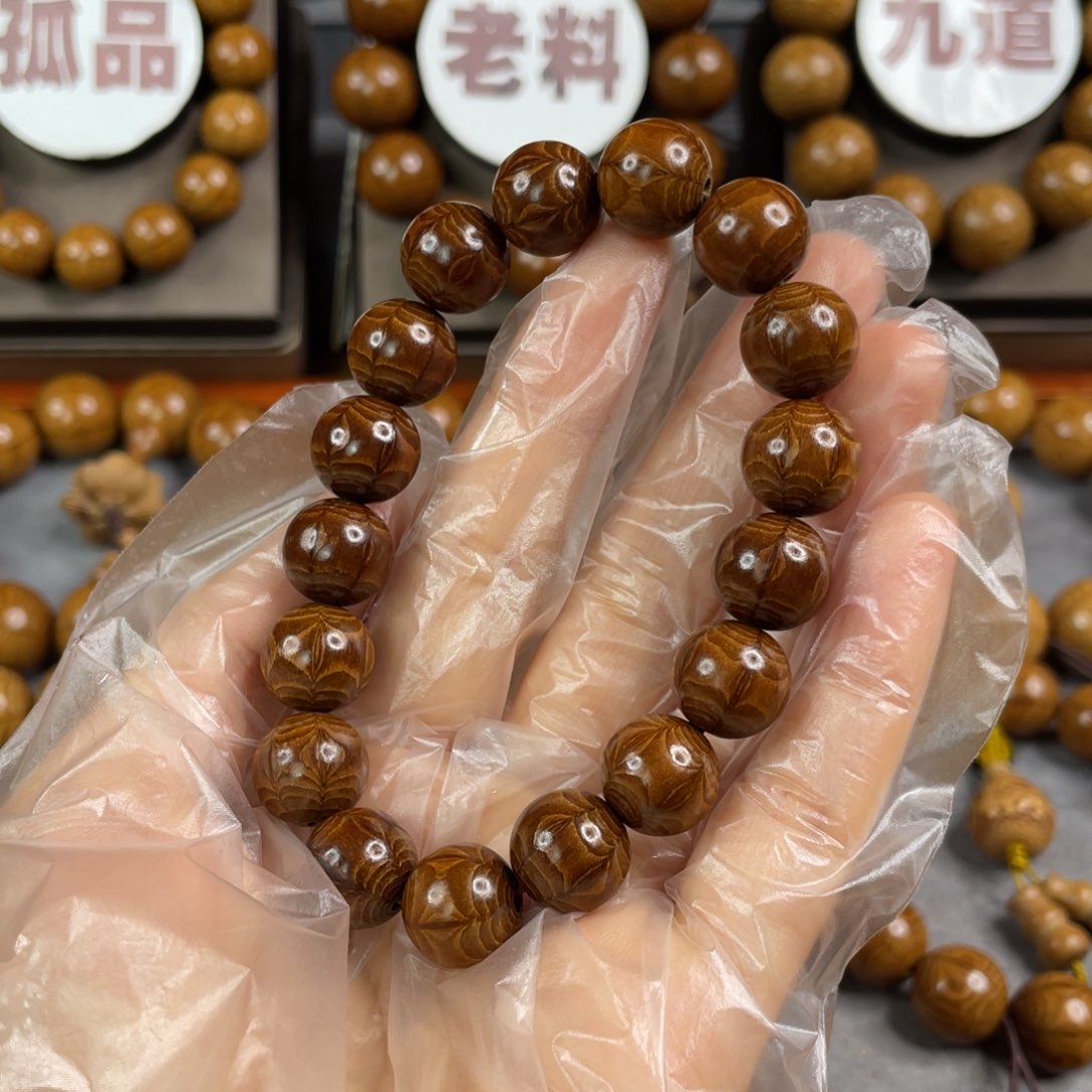 六道木枯树， 毕业1.2