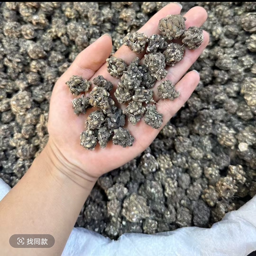 精选山货猫爪草爪爪分明自然晒干可煲汤煮水非皂角米