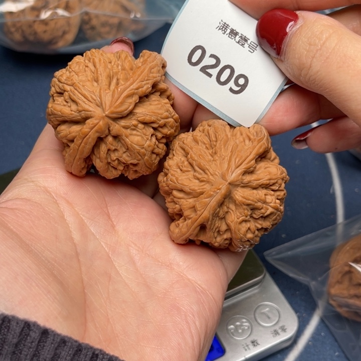 文玩核桃把件粗筋47
