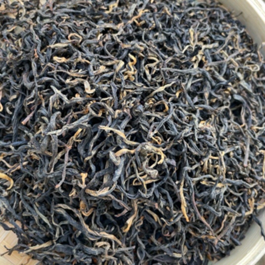 云南凤庆老品种烤红