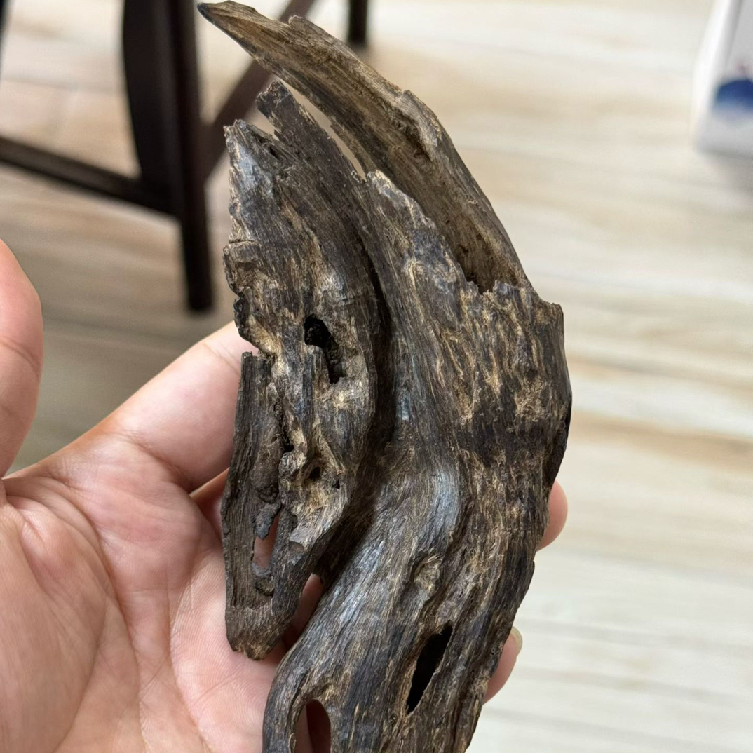海南尖峰岭母树台风料