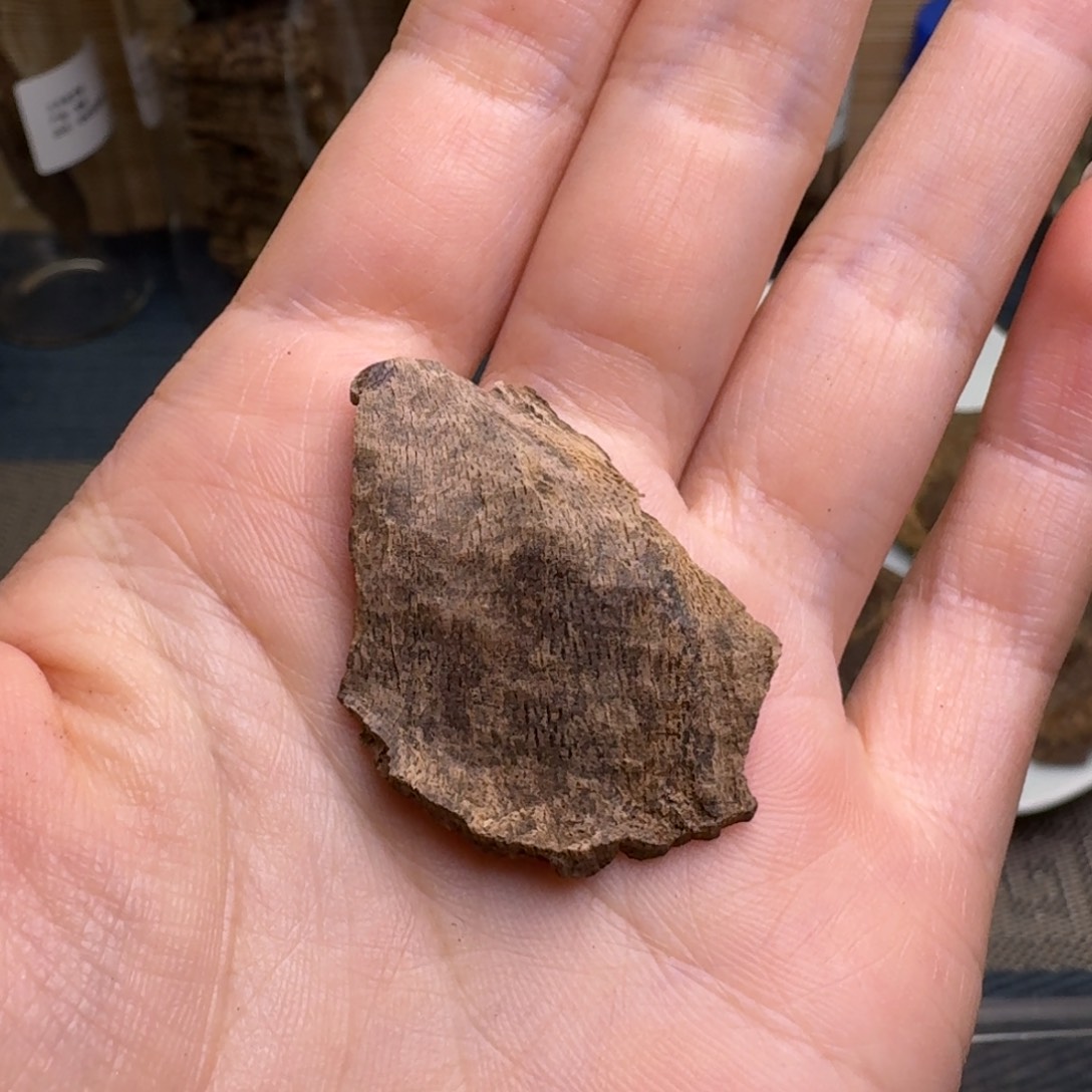 木海南霸王岭沉水老料1.3克