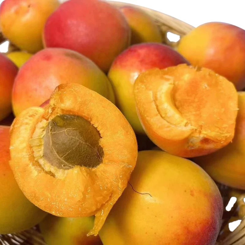 丰源胭脂红杏贵妃红杏酸度低(买2斤送1斤)水果同城送水果同城送北京市