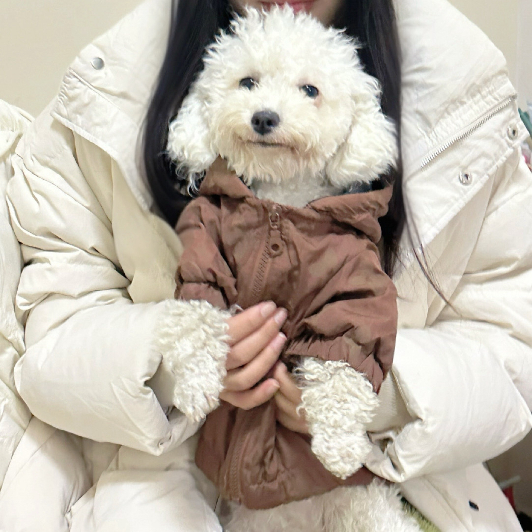 1号链接2件包邮直播间拍编号链接no退换宠物衣服