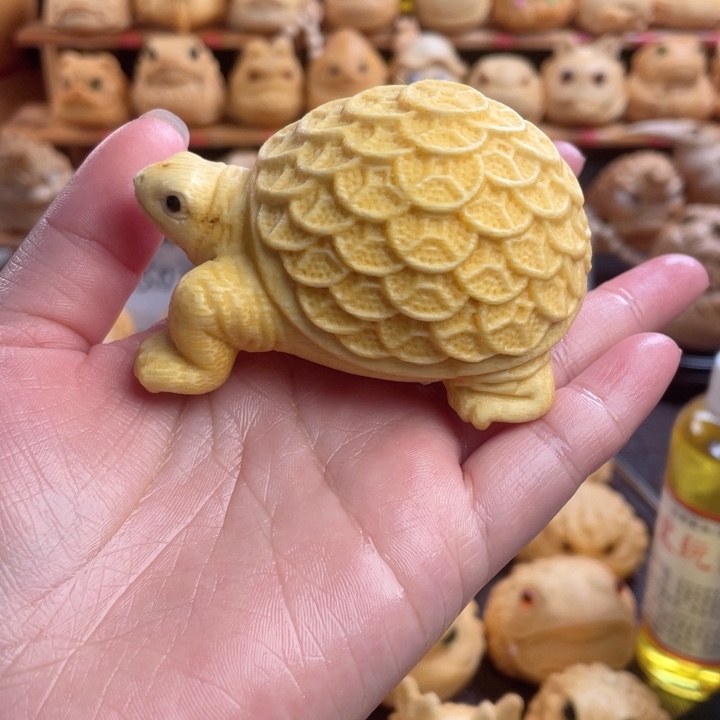 竹南****?金钱龟福利微瑕zzzzz