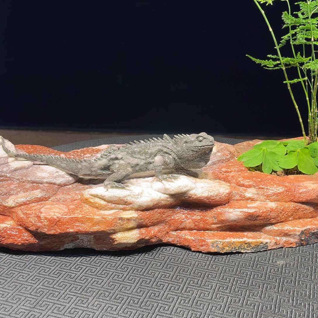 寿山石胡*寿山石雕刻作品欣赏