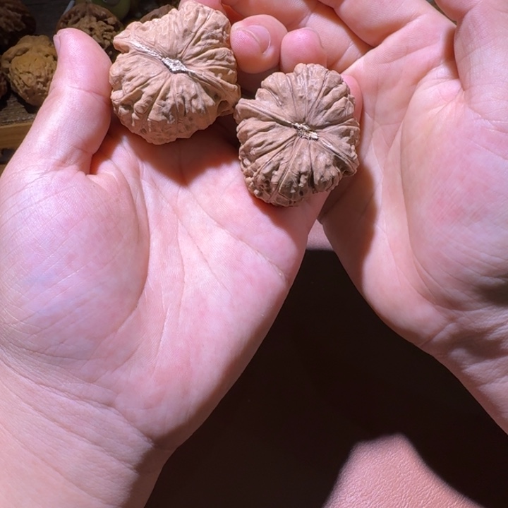 45尺全品南瓜直播福利