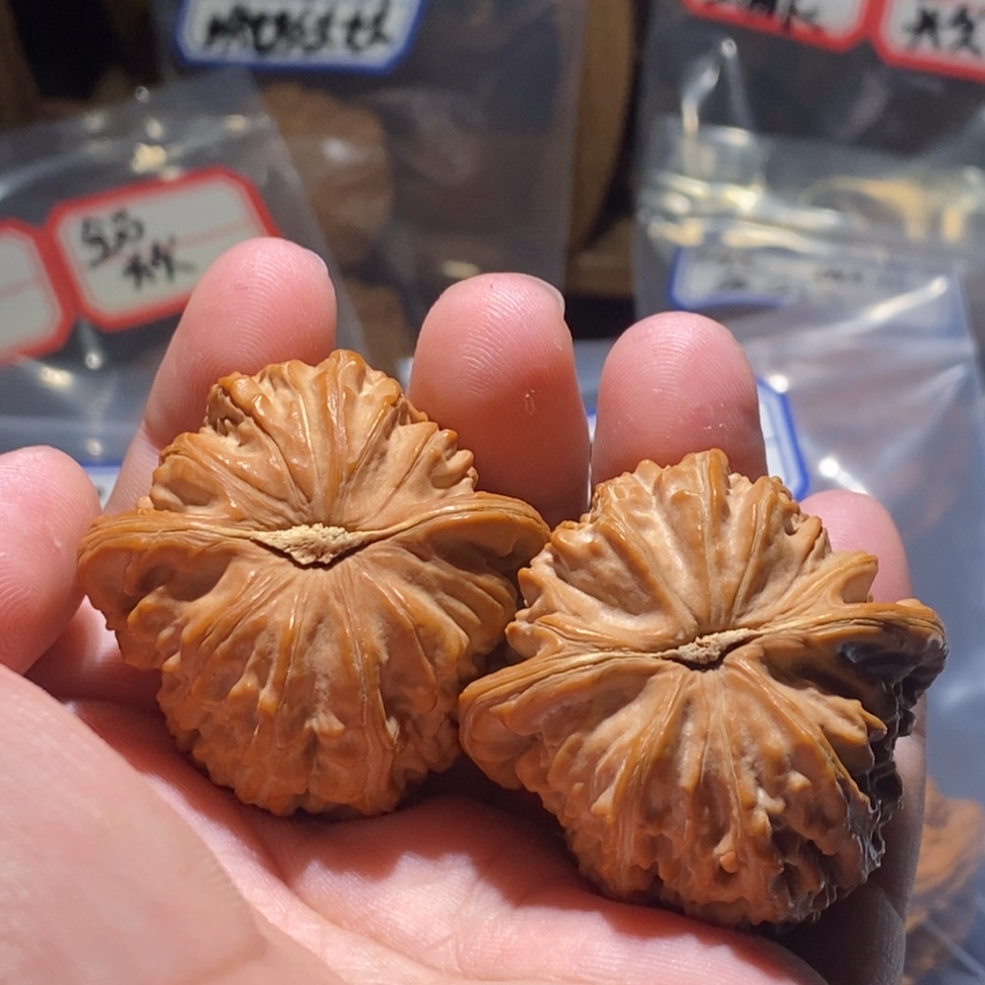 骑***滚文玩核桃吊坠41全品白狮子