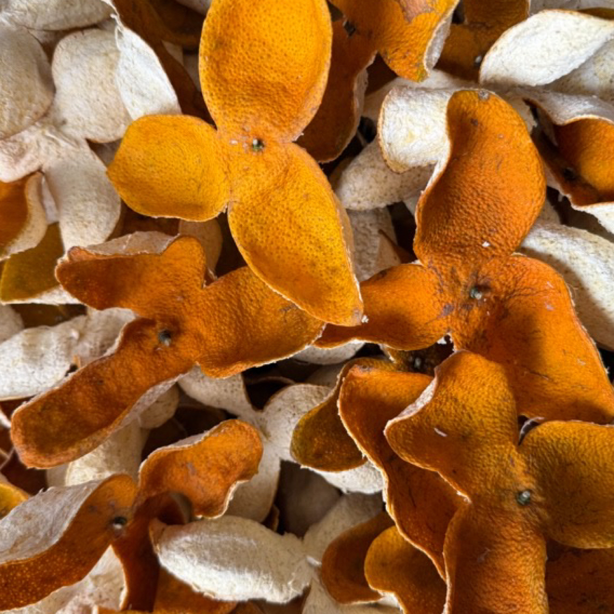 广西浦北2025年精品老树茶枝柑（陈皮原料）