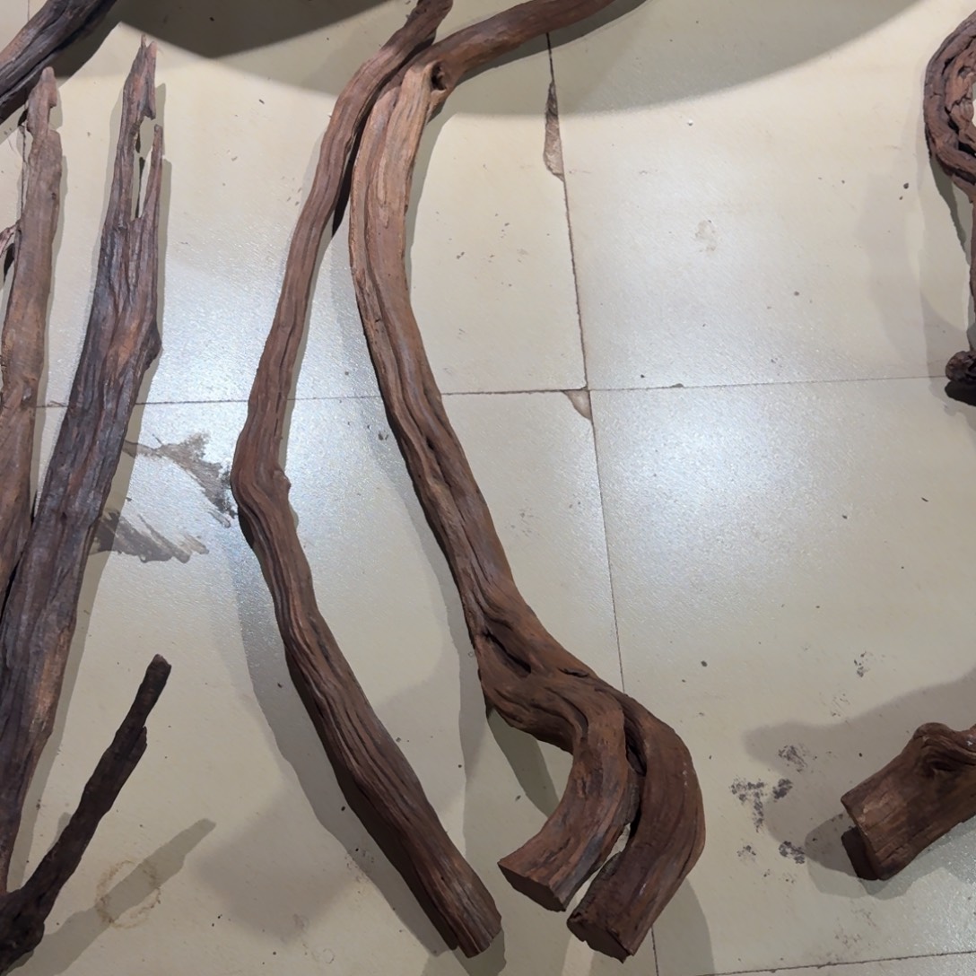 关***s香榧木鱼缸造景 一物一拍