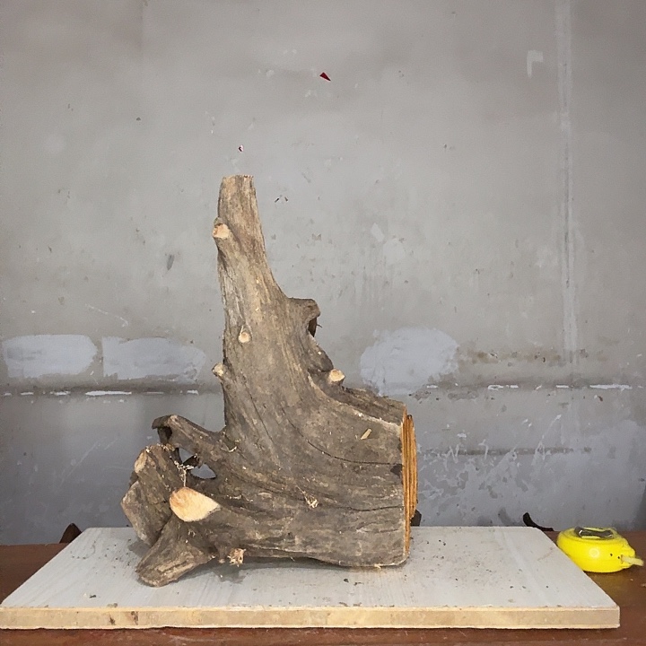 用***2木太行崖柏摆件摆件