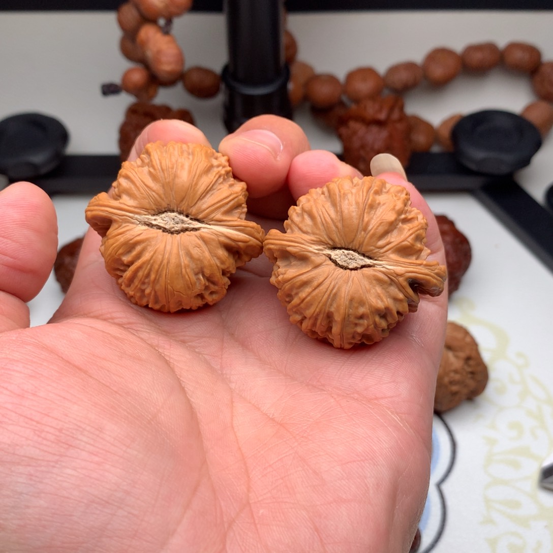 文玩核桃把件白狮子42