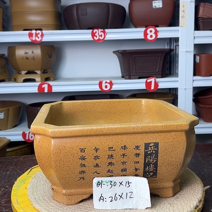 花盆紫砂你在一起