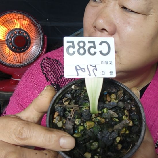 用***7完全开放0000000000