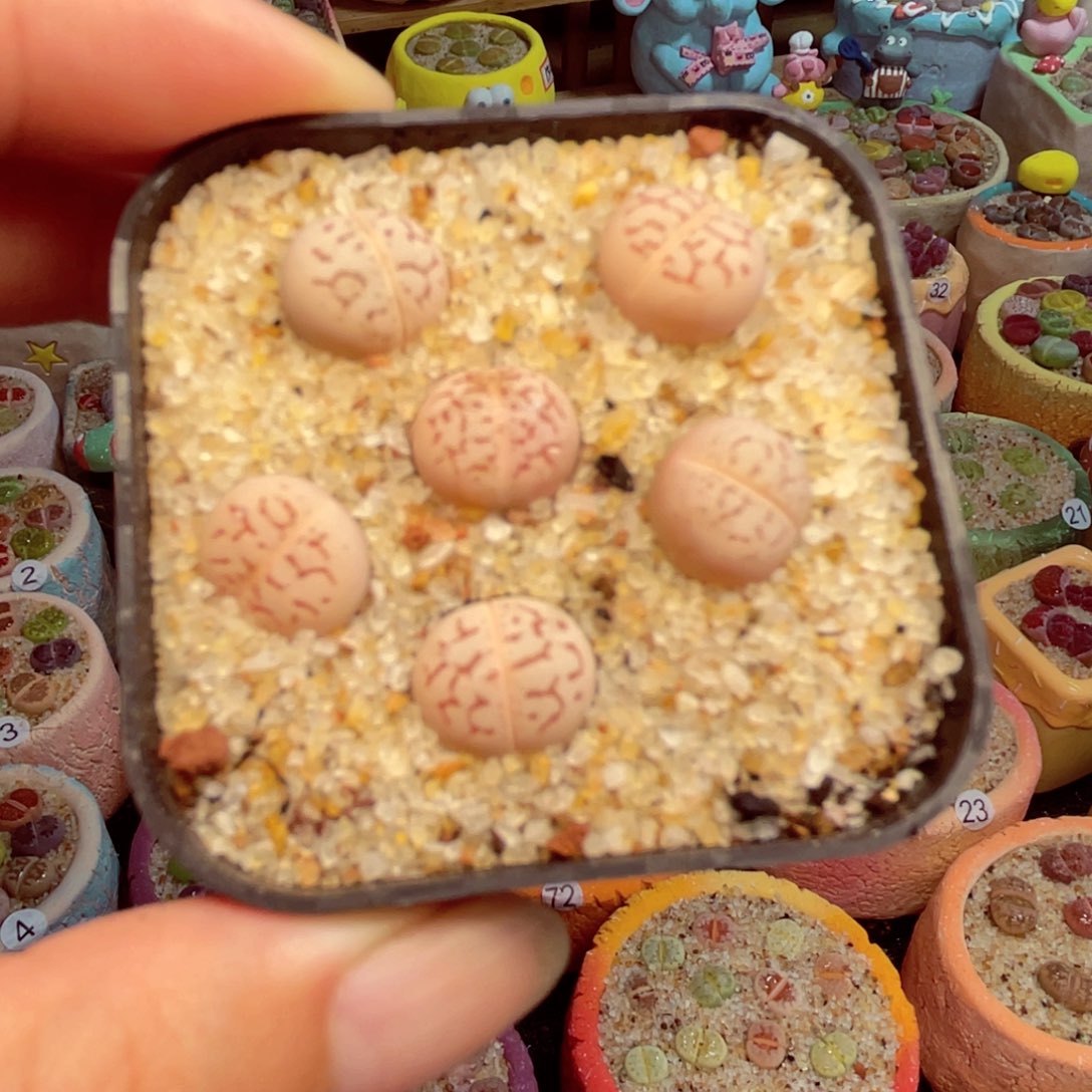 220。888888888888888