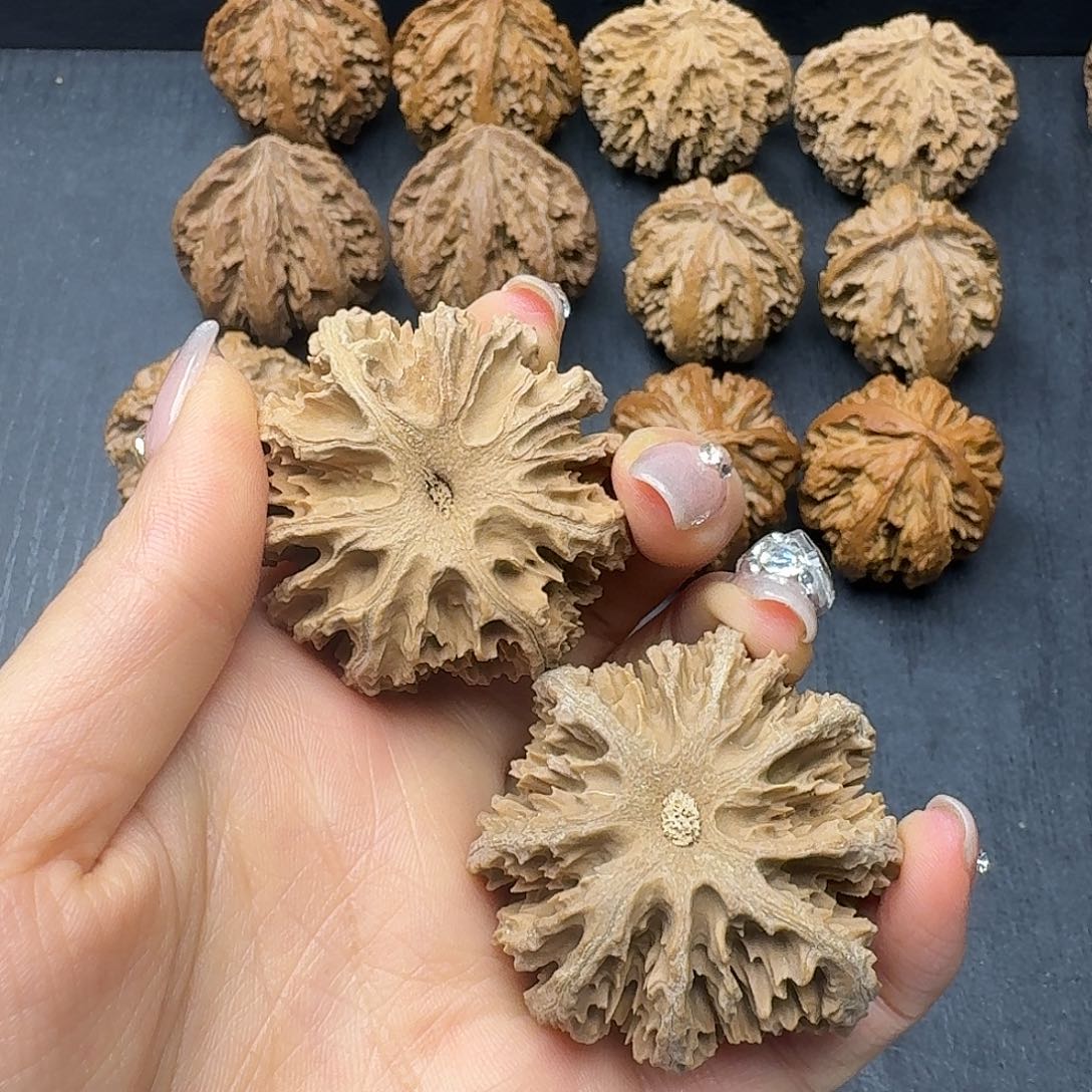 M***_桃木突突突突突突突