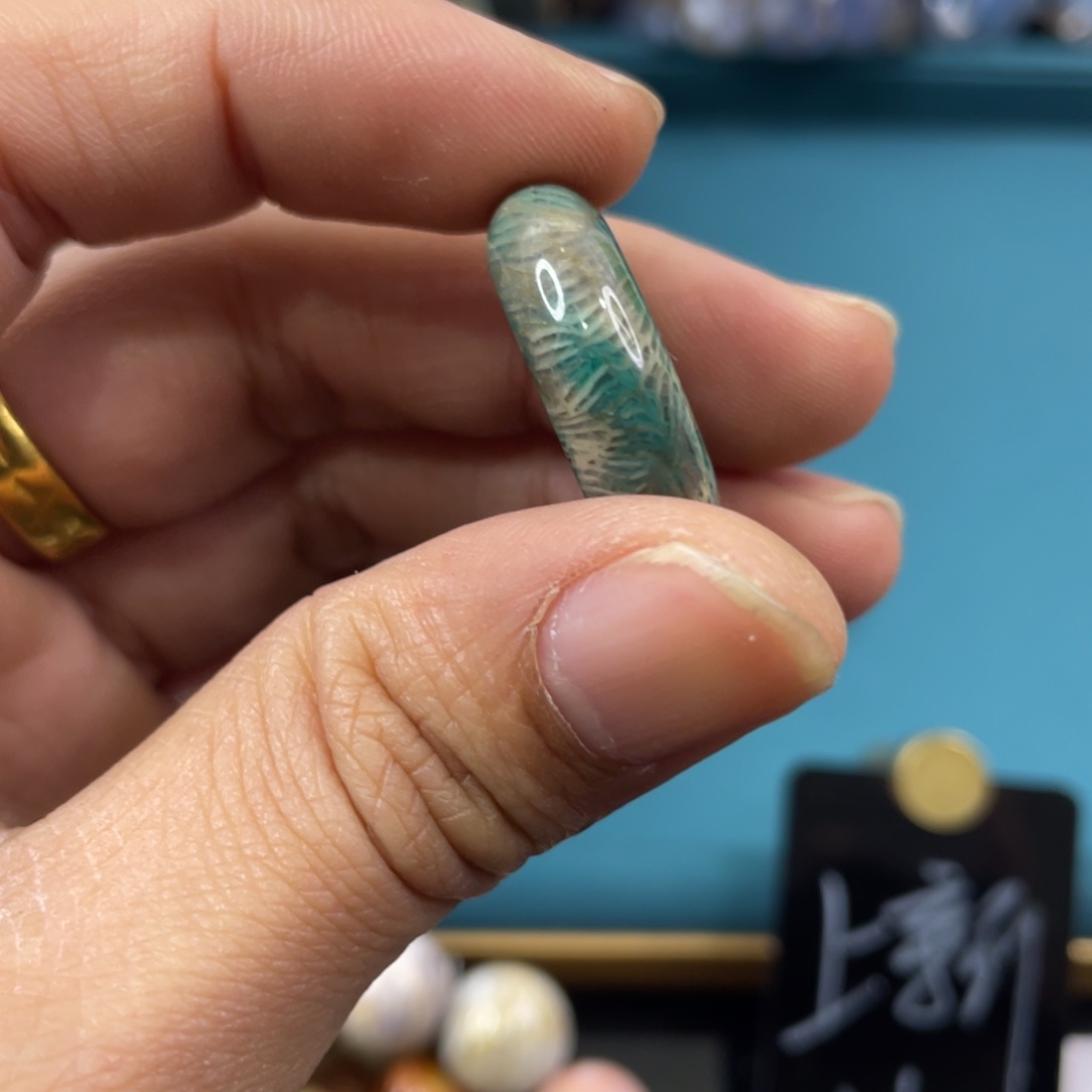 未镶嵌手镯硅化玉