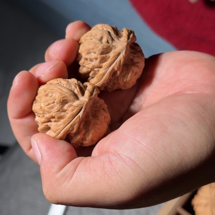 把件文玩核桃1031号全品红锦鲤40mm以下