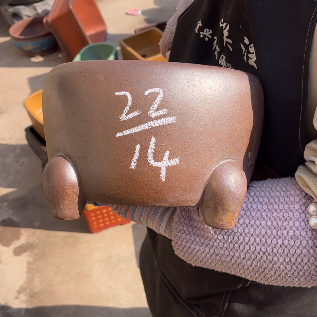 紫砂花盆盆景艺术